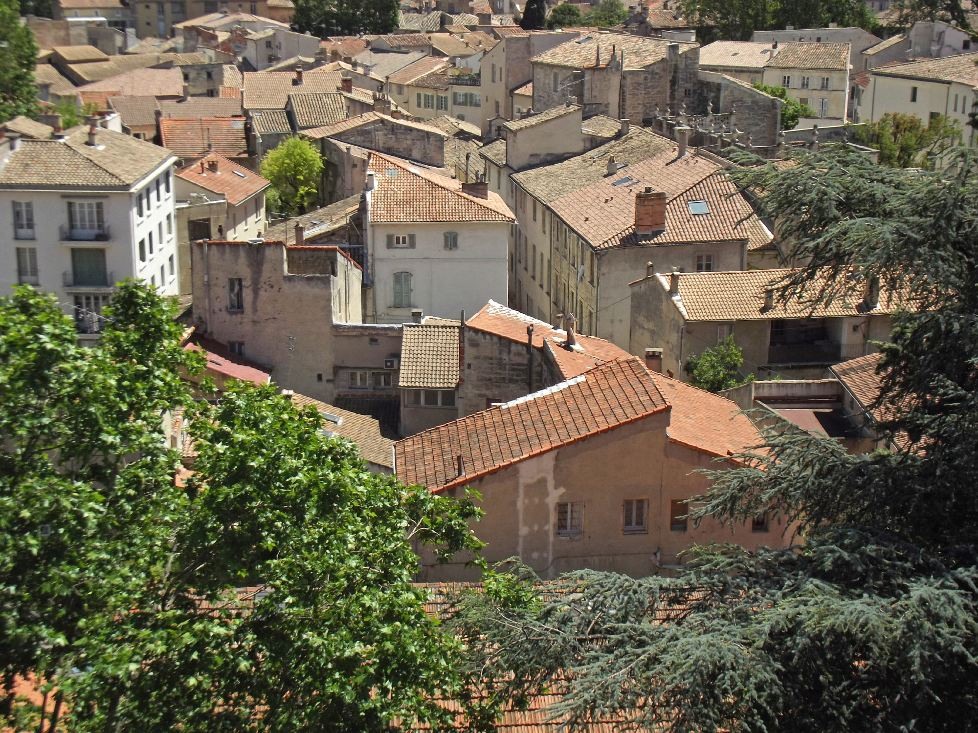 Avignon